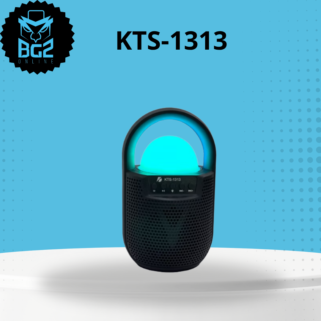 KTS-1313